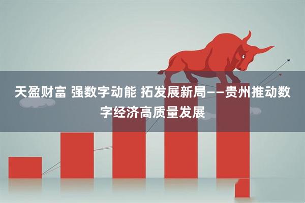 天盈财富 强数字动能 拓发展新局——贵州推动数字经济高质量发展