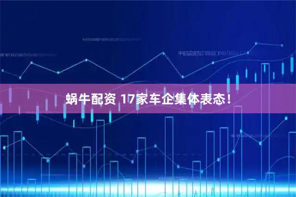 蜗牛配资 17家车企集体表态！