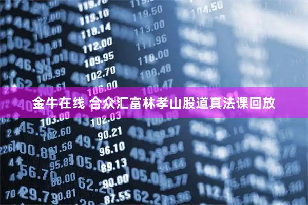 金牛在线 合众汇富林孝山股道真法课回放